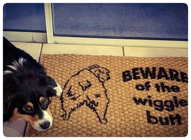 beware of the wiggle butt australian shepard dog lover gift damn good doormat